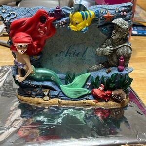 Very Unique Ariel and Princess Eric Picture Frame